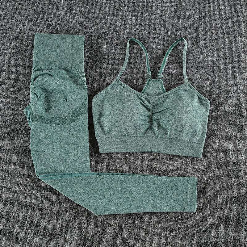 2 Piece Seamless Yoga set