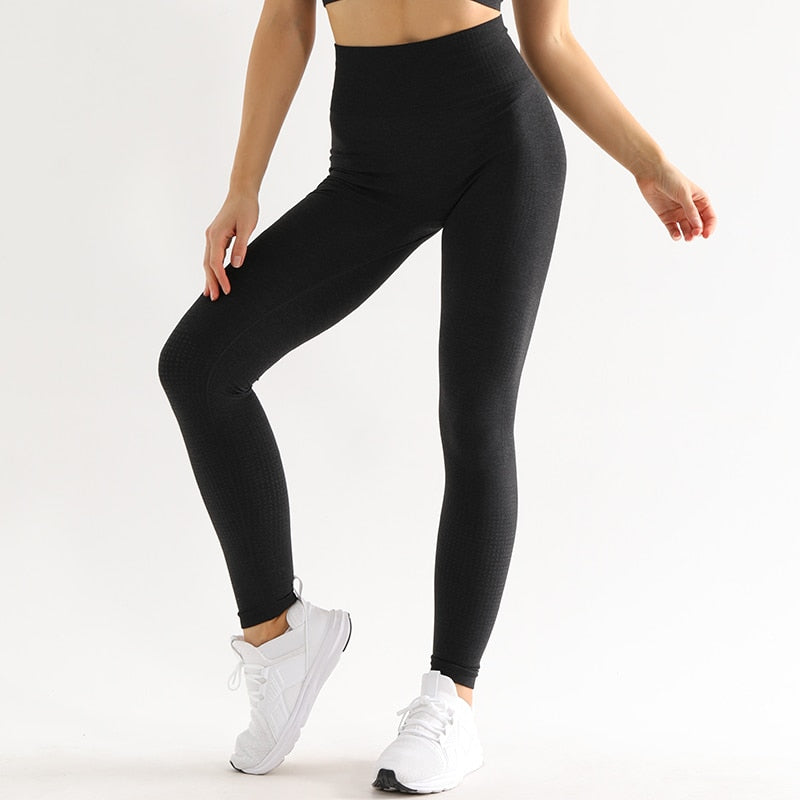 Bight Colored Seamless Leggings Seductively Posh LLC