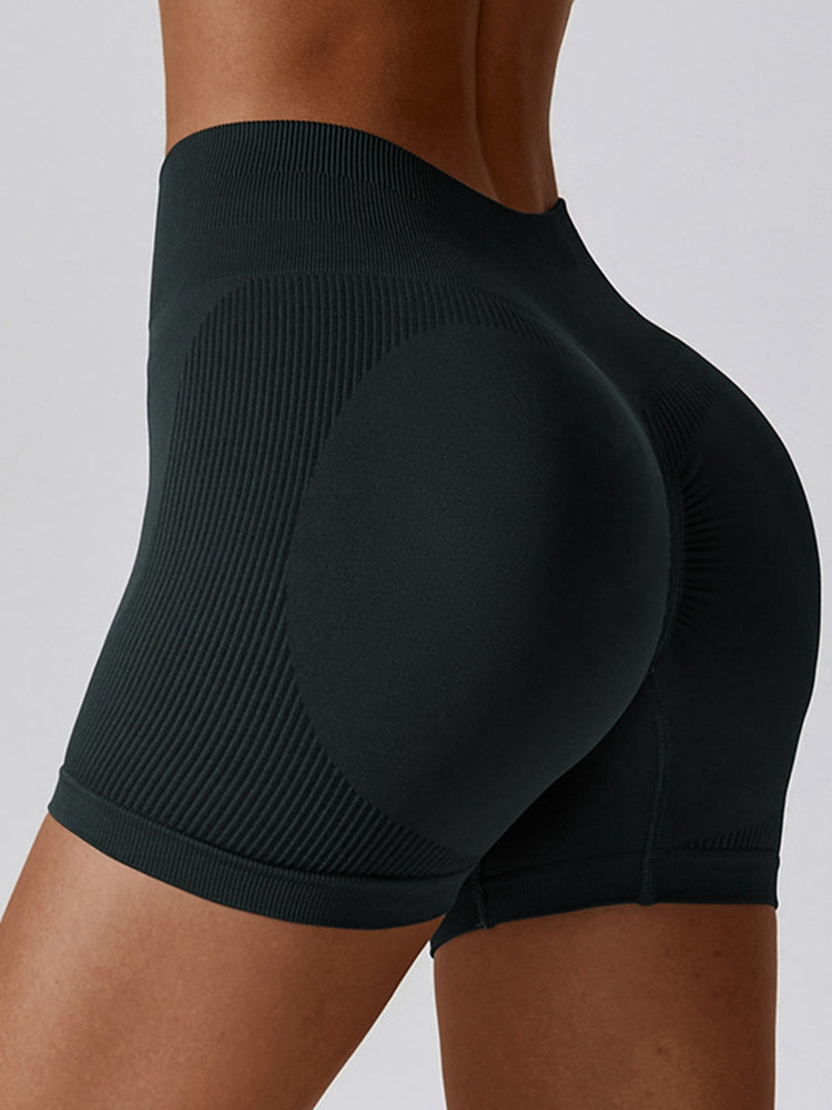 Wide Waistband Slim Fit Sports Shorts - Seductively Posh LLC